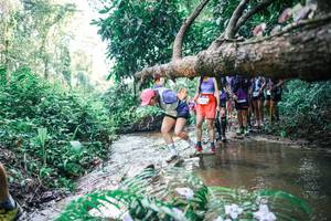 BIB: 
                            <button type="button" onclick="openModal(25466882)" class="btn btn-primary btn-sm float-right btn-popup" data-toggle="modal" data-target=".modal-high-quality">
                        <i class="fas fa-shopping-cart"></i> Add to Cart
                    </button>
                                            <button type="button" onclick="isThisMe(25466882, true)" class="btn btn-success btn-sm float-right btn-popup btn-isme hidden" data-toggle="tooltip" data-placement="bottom" title="นี่คือรูปของคุณใช่ไหม คลิกที่นี่เพื่อเอาเข้าอัลบั้ม">
                        <i class="fas fa-plus"></i> Add to album
                    </button>
                    <button type="button" onclick="isThisMe(25466882, false)" class="btn btn-warning btn-sm float-right btn-popup btn-isnotme hidden">
                        <i class="fas fa-ban"></i> Remove from album
                    </button>